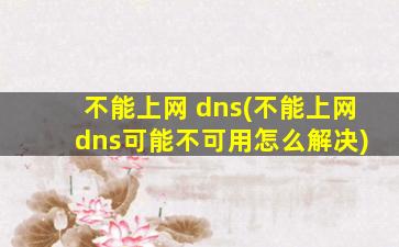 不能上网 dns(不能上网 dns可能不可用怎么解决)